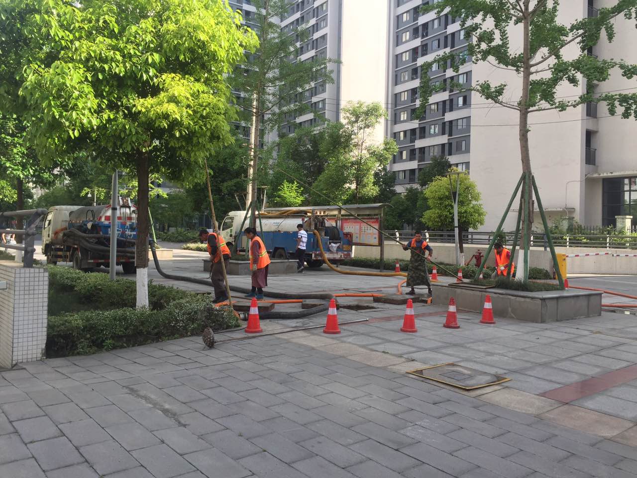 化糞池疏掏